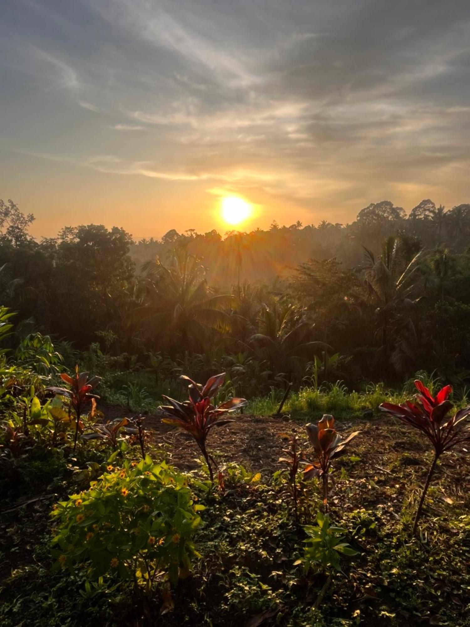 Tetebatu Jungle Vibes Hotel Luaran gambar